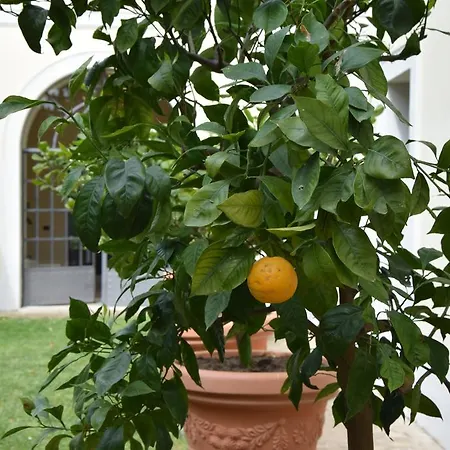 Colle Ridente D'epoca Hotel